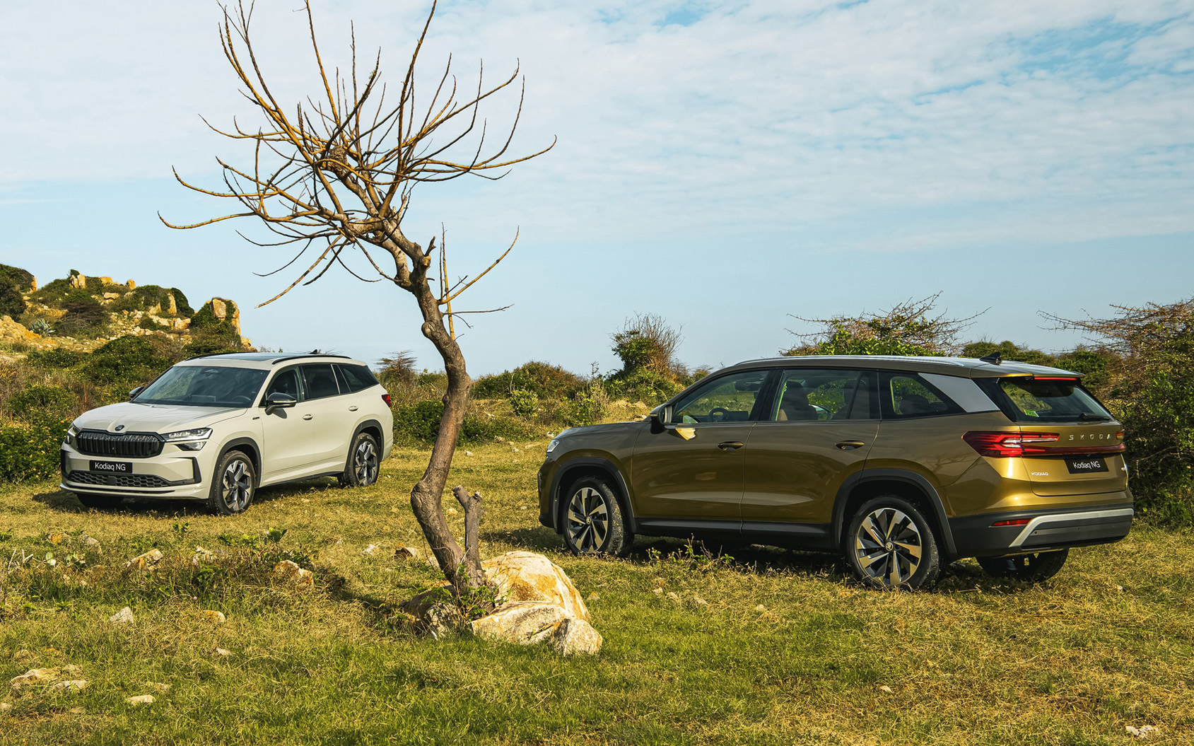 Skoda Kodiaq có giá mới tại Việt Nam: Cao nhất gần 1,5 tỷ đồng, bản 'base' vẫn giảm 81 triệu lăn bánh cạnh tranh Santa Fe, Everest- Ảnh 3.
