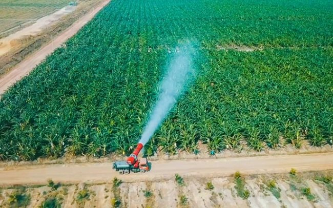 Thaco Agri của tỷ phú Trần Bá Dương có tổng tài sản tăng vọt lên hơn 67.000 tỷ đồng, vượt Becamex, gấp 3 lần HAGL- Ảnh 1.