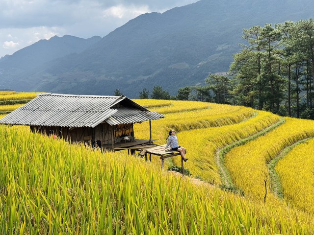 Ngọn đồi ở Mù Cang Chải là điểm ngắm mùa lúa chín siêu thực: Du khách nhận xét "Nhất định phải đến!"- Ảnh 2. Ngọn đồi ở Mù Cang Chải là điểm ngắm mùa lúa chín siêu thực: Du khách nhận xét "Nhất định phải đến!"- Ảnh 2.