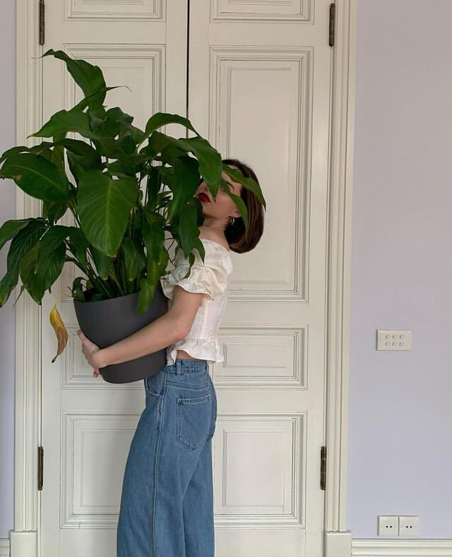 Ông bà dặn: Đặt 3 chậu cây trong phòng khách, tài lộc dồi dào, gia đình bình an, hạnh phúc- Ảnh 4. Ông bà dặn: Đặt 3 chậu cây trong phòng khách, tài lộc dồi dào, gia đình bình an, hạnh phúc- Ảnh 4.