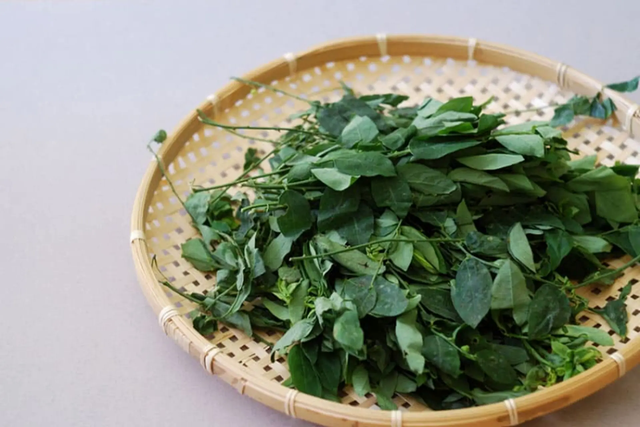 Loại rau được ví là "thần dược của sản phụ", rẻ hơn rau lang, rau cải: Ở Việt Nam chỉ nấu canh là quá phí- Ảnh 1.