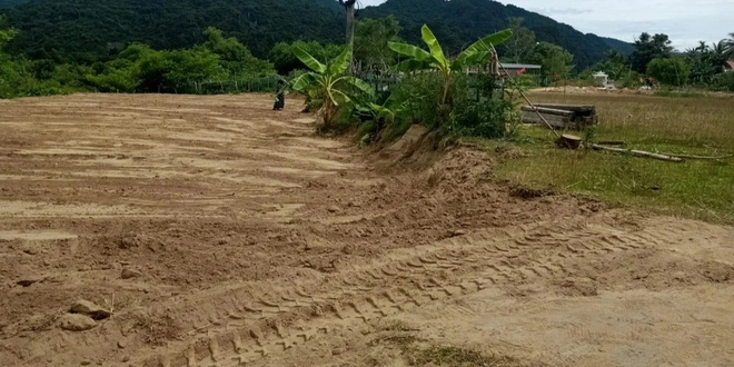 San đất để làm vườn, người dân Việt Nam phát hiện vật hình hộp màu xanh lạ, chuyên gia xác nhận báu vật hiếm có 600 năm tuổi- Ảnh 1.
