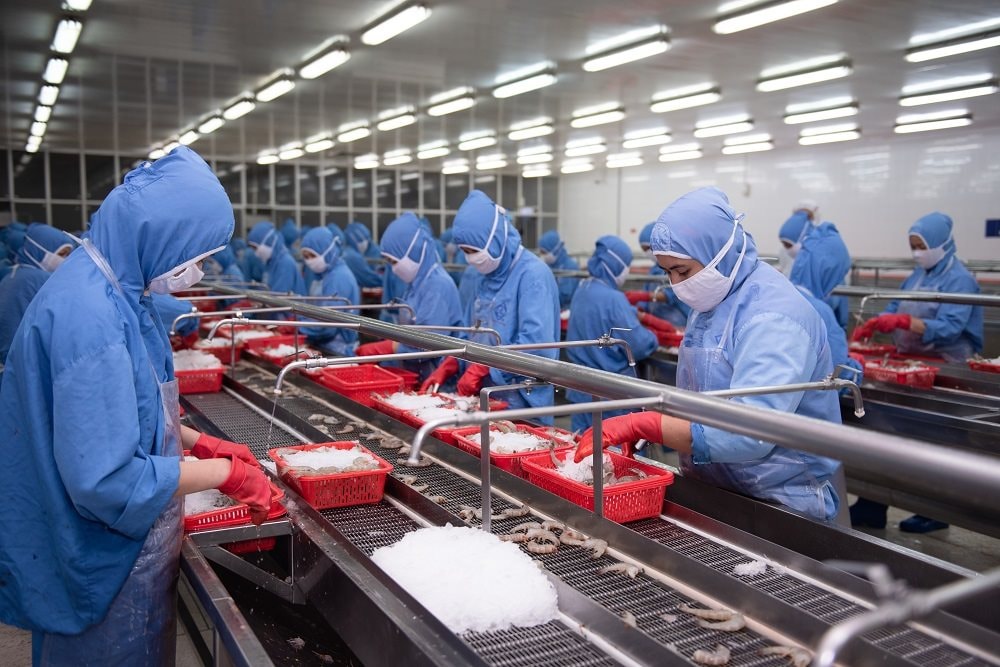 "Đại gia" tôm báo doanh thu tháng 8 tăng 32%, cao nhất kể từ đầu năm, cẩn thận trích lập gần 100 tỷ cho 3 loại thuế mới tại thị trường Mỹ- Ảnh 1.