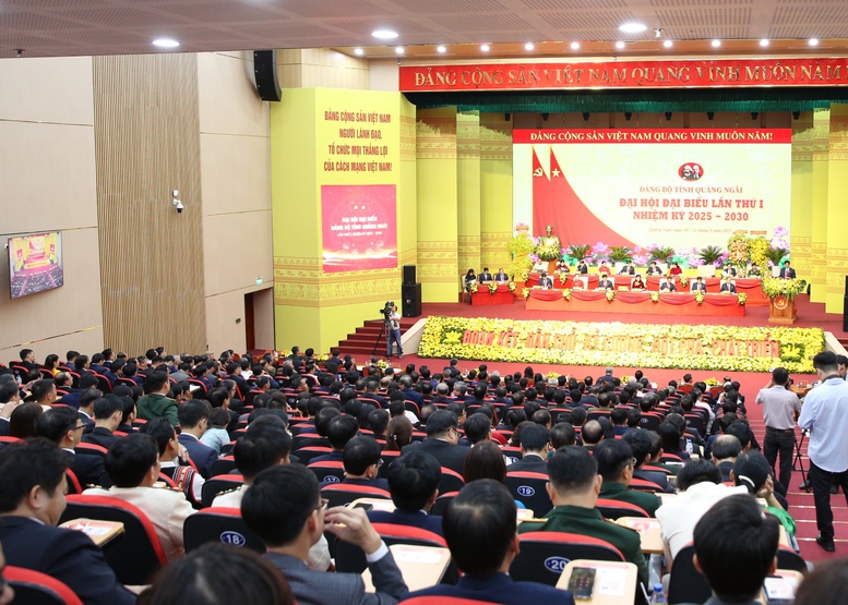 Đưa Quảng Ngãi trở thành tỉnh phát triển khá, một cực tăng trưởng quan trọng của khu vực miền Trung - Tây Nguyên- Ảnh 3.