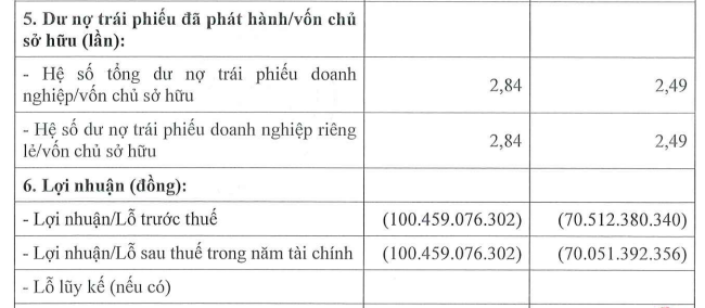 Siêu dự án Aqua City vừa “tái sinh” được 3 tháng, chủ đầu tư bất ngờ báo lỗ, nợ phải trả cao gấp 6 lần vốn chủ sở hữu- Ảnh 1.