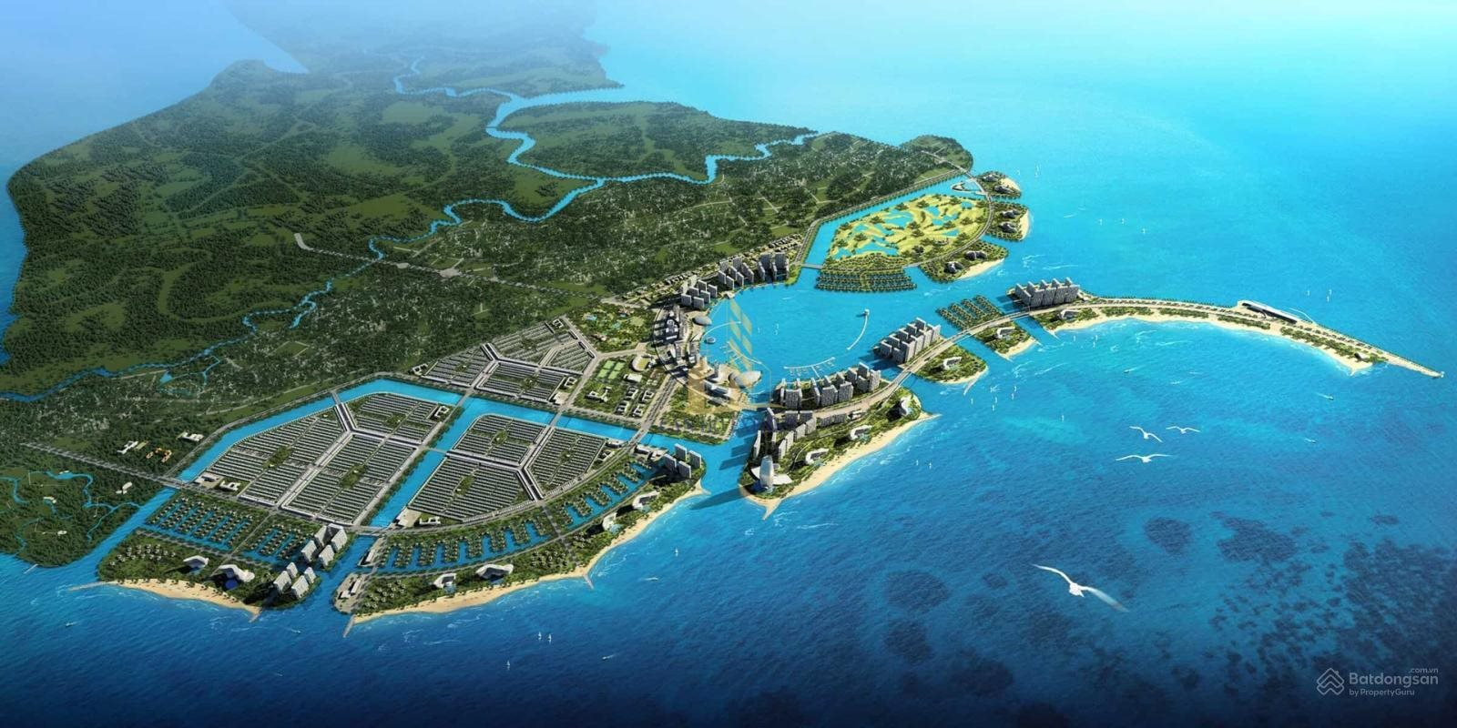 Siêu dự án Cần Giờ của Vingroup đã nộp 21.700 tỷ đồng, chiếm gần 55% ngân sách thu từ đất tại Tp.HCM 8T2025- Ảnh 1.