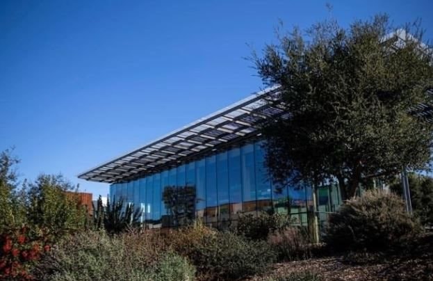 Sự cực đoan tại Thung lũng Silicon: Coder hy sinh tình yêu, giấc ngủ vì giấc mơ tỷ USD, có founder làm 92 giờ/tuần- Ảnh 1.