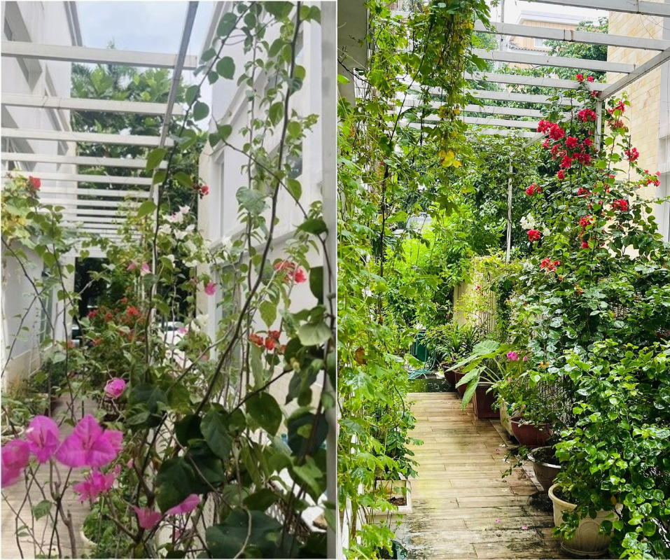 Nữ diễn viên Mưa Đỏ: Trong phim đau khổ khóc cạn nước mắt, ngoài đời sống chill với cơ ngơi 4 tầng phủ kín hoa!- Ảnh 10. Nữ diễn viên Mưa Đỏ: Trong phim đau khổ khóc cạn nước mắt, ngoài đời sống chill với cơ ngơi 4 tầng phủ kín hoa!- Ảnh 10.