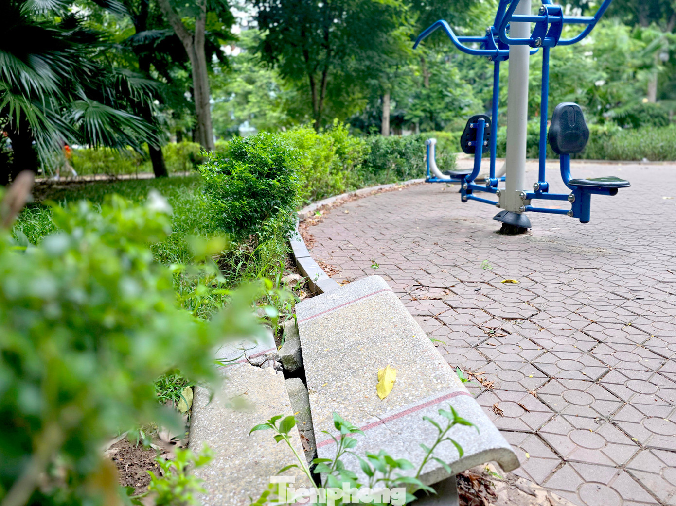 Cảnh hoang tàn, xuống cấp tại vườn hoa 52 tỷ ở Hà Nội- Ảnh 5.