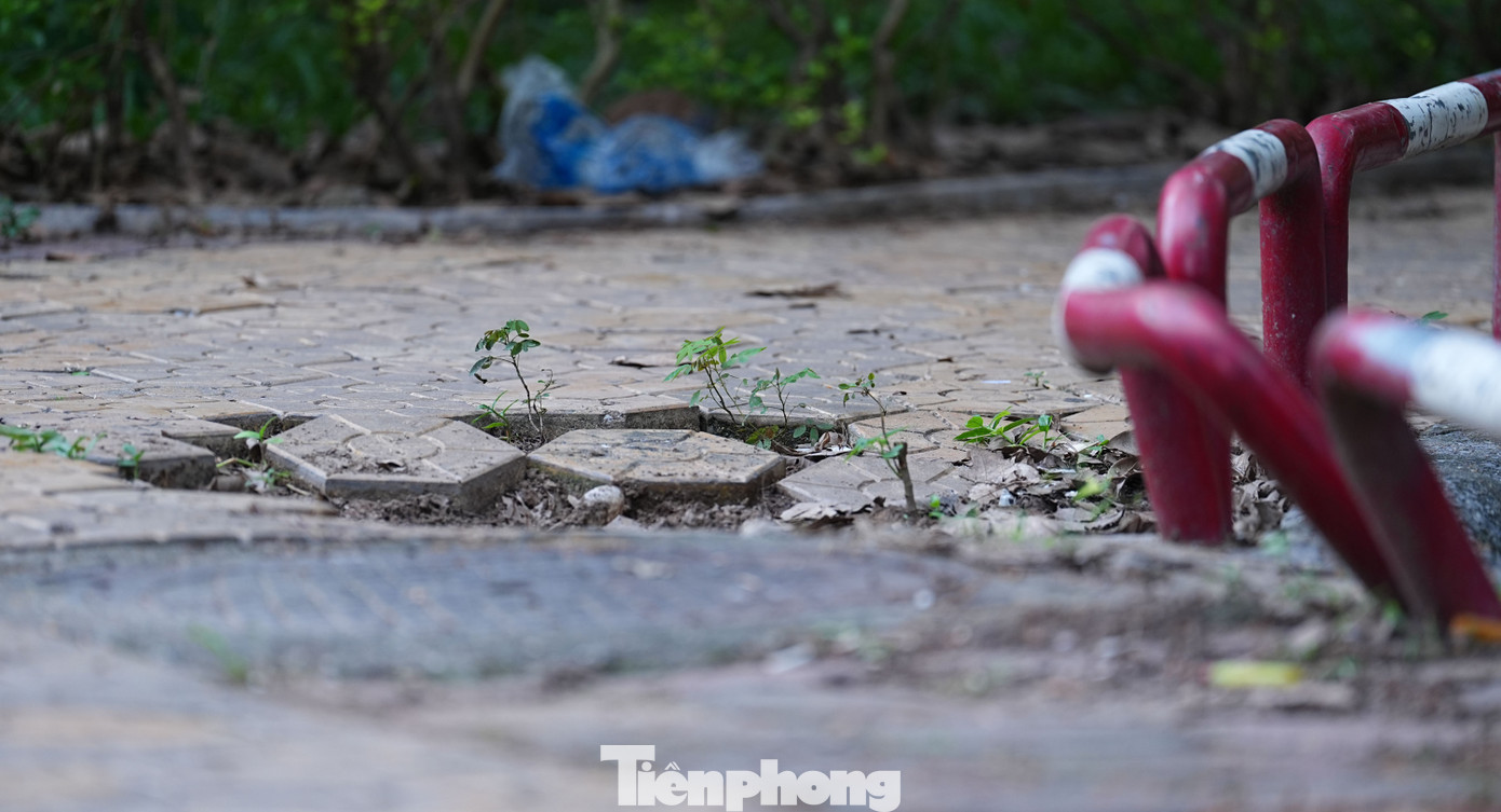 Cảnh hoang tàn, xuống cấp tại vườn hoa 52 tỷ ở Hà Nội- Ảnh 4.