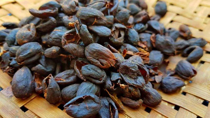 Loại vỏ quả người Việt từng vứt bỏ nay được săn lùng: Chế biến thành "đặc sản thế giới" giá tiền triệu/kg- Ảnh 1. Loại vỏ quả người Việt từng vứt bỏ nay được săn lùng: Chế biến thành "đặc sản thế giới" giá tiền triệu/kg- Ảnh 1.