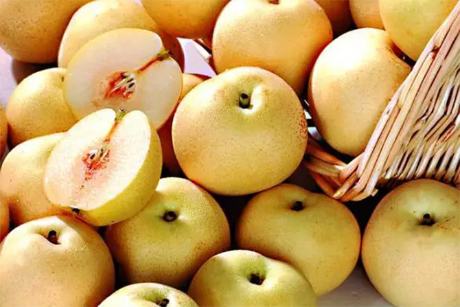 Mua lê đừng dựa vào kích thước, biết 5 điều này sẽ chọn được lê ngon- Ảnh 2.