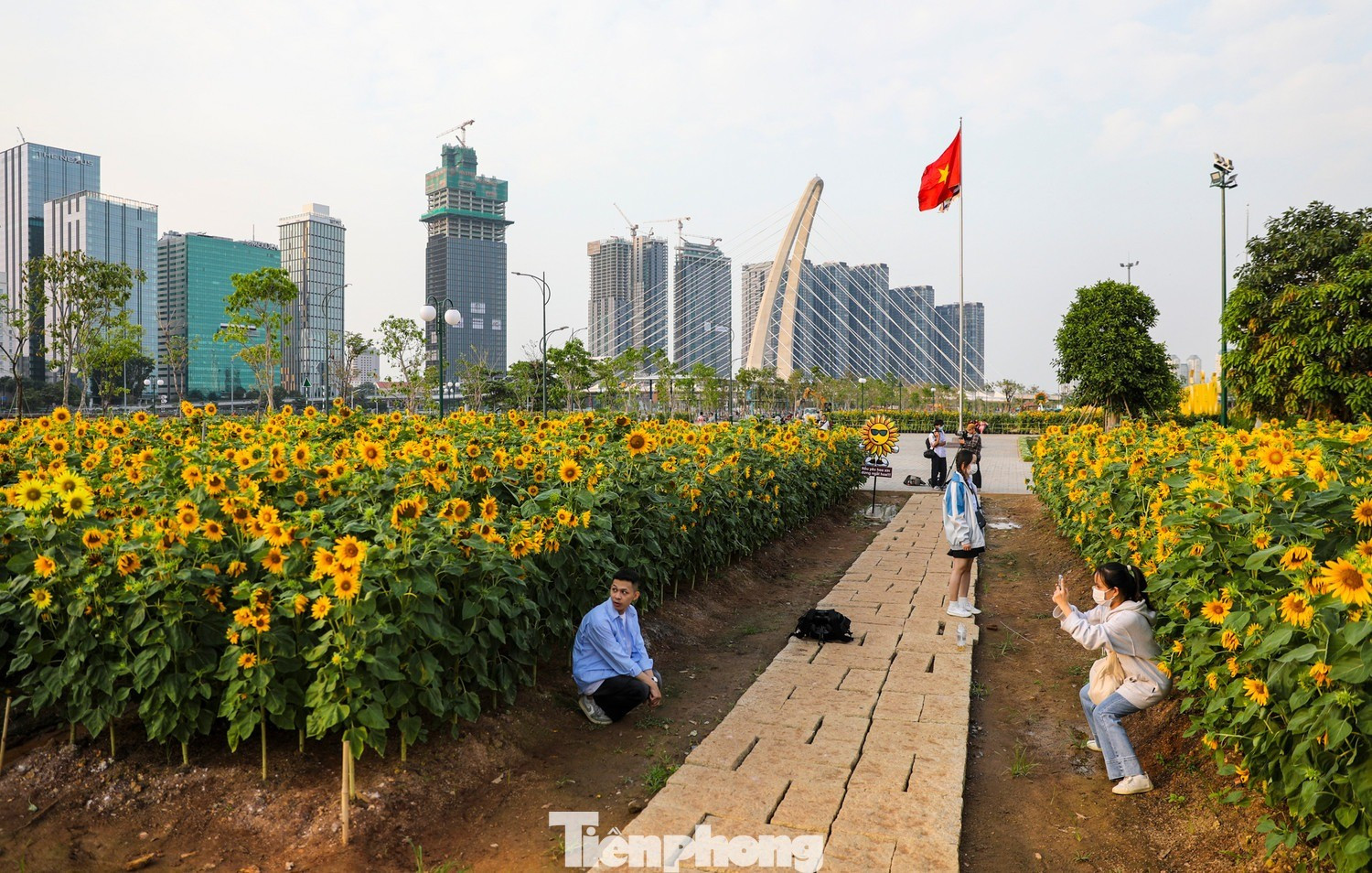 Những công trình góp phần thay đổi diện mạo TPHCM 5 năm qua- Ảnh 12. Những công trình góp phần thay đổi diện mạo TPHCM 5 năm qua- Ảnh 12.
