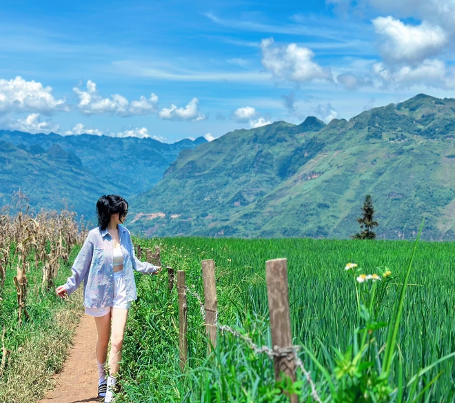 Thảo nguyên rộng lớn ngay vùng núi phía Bắc, cách Hà Nội 400km: Du khách nhận xét "như Châu Âu thu nhỏ"- Ảnh 6. Thảo nguyên rộng lớn ngay vùng núi phía Bắc, cách Hà Nội 400km: Du khách nhận xét "như Châu Âu thu nhỏ"- Ảnh 6.