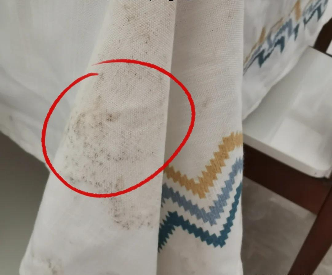 Bước vào tuổi trung niên mới hiểu: Nhà càng ít đồ đạc, cuộc sống càng nhẹ nhõm – đừng tự làm khổ mình- Ảnh 6. Bước vào tuổi trung niên mới hiểu: Nhà càng ít đồ đạc, cuộc sống càng nhẹ nhõm – đừng tự làm khổ mình- Ảnh 6.