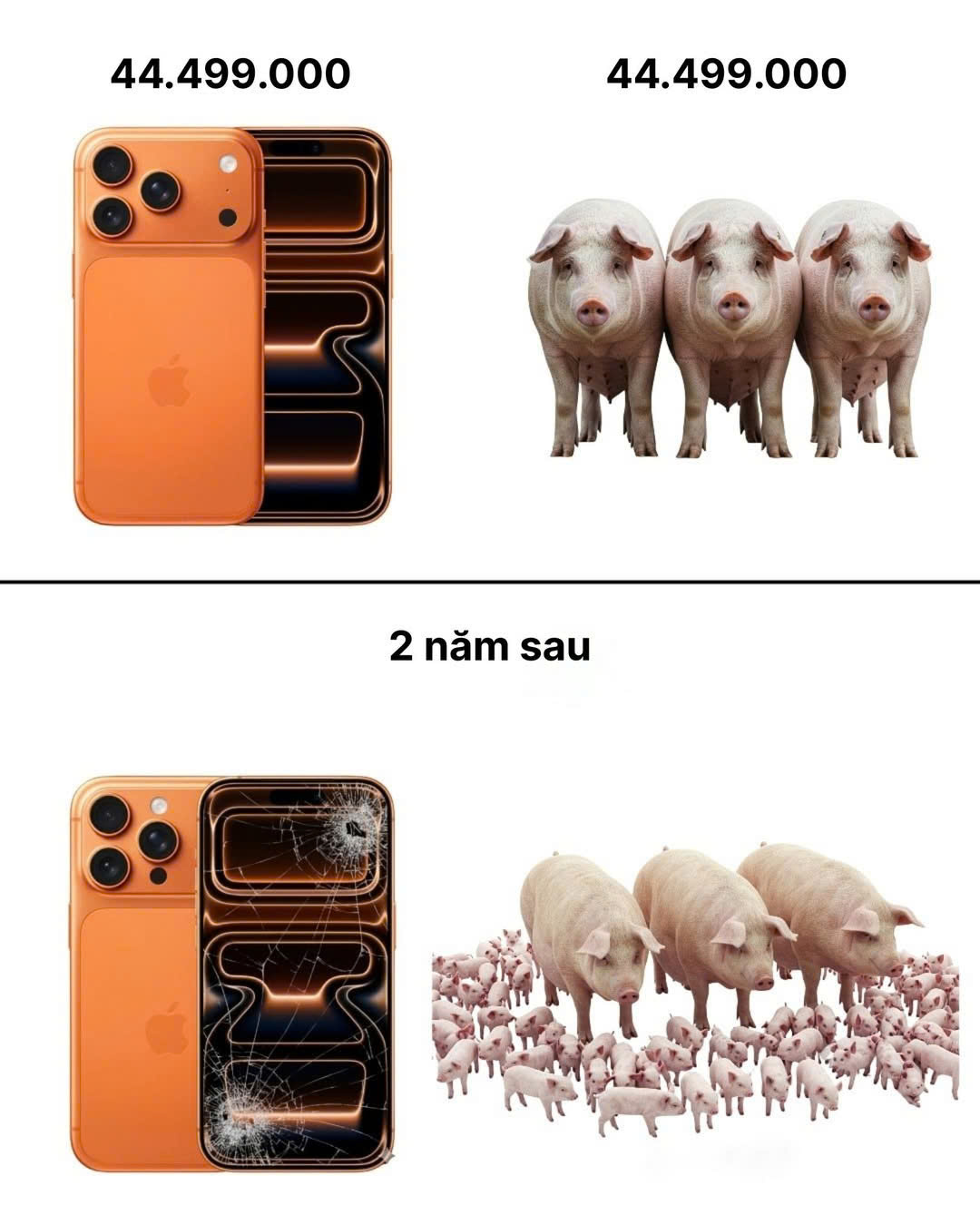 Các nhãn hàng đua nhau quy đổi sản phẩm ra iPhone 17- Ảnh 3. Các nhãn hàng đua nhau quy đổi sản phẩm ra iPhone 17- Ảnh 3.