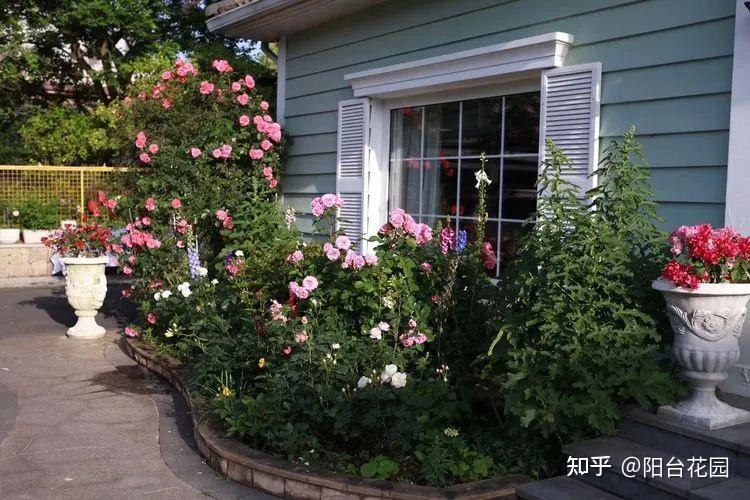 Từ giấc mơ châu Âu đến khu vườn 400m²: Người phụ nữ trung niên biến biệt thự thành thiên đường hoa bốn mùa- Ảnh 4.