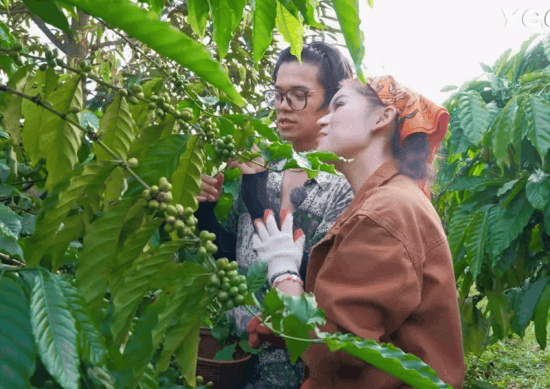 Màn kén rể nhanh nhất lịch sử của mẹ tiểu thư 7.000 tỷ- Ảnh 6.