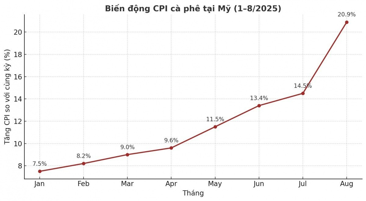 Giá cà phê tại Mỹ tăng mạnh, cơ hội nào cho doanh nghiệp Việt?- Ảnh 1. Giá cà phê tại Mỹ tăng mạnh, cơ hội nào cho doanh nghiệp Việt?- Ảnh 1.