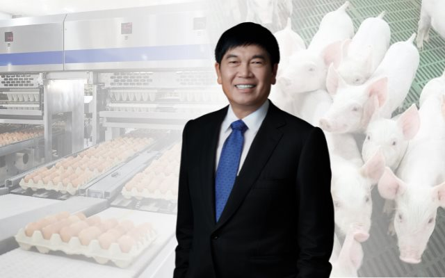 Tỷ phú Trần Đình Long có động thái 'lạ' với nông nghiệp Hòa Phát sau nửa năm báo lãi nghìn tỷ, 'đe dọa' Dabaco và vượt trội so với BAF, HAGL... dù quy mô vốn khiêm tốn- Ảnh 1.