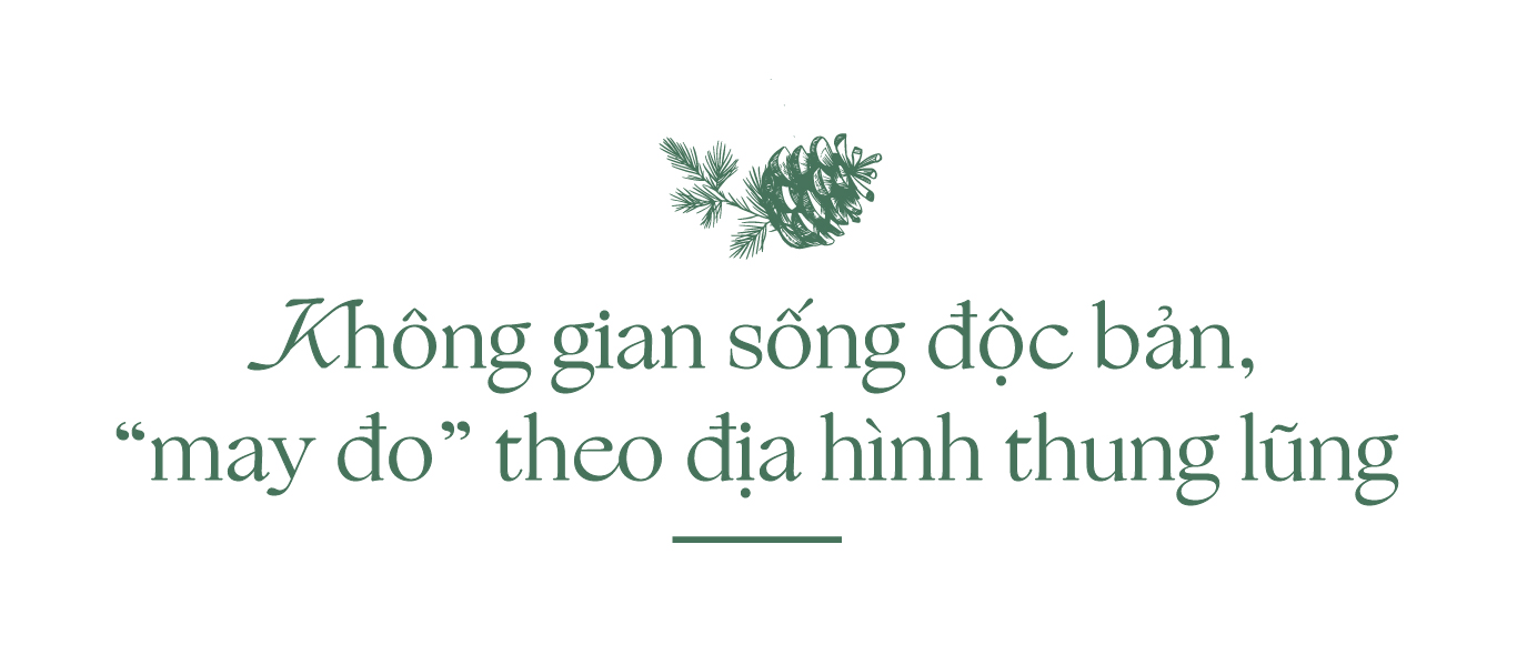 Thanh Xuan Valley: Nghệ thuật “may đo” không gian sống giữa thung lũng triệu thông reo- Ảnh 2. Thanh Xuan Valley: Nghệ thuật “may đo” không gian sống giữa thung lũng triệu thông reo- Ảnh 2.