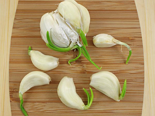 Đừng bỏ lỡ: 3 loại rau củ rẻ tiền nhưng là Đừng bỏ lỡ: 3 loại rau củ rẻ tiền nhưng là