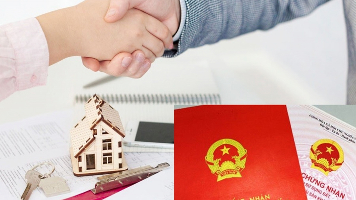 Lấy sổ đỏ của người khác đi thế chấp có bị phạt không?- Ảnh 1. Lấy sổ đỏ của người khác đi thế chấp có bị phạt không?- Ảnh 1.