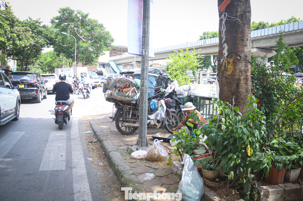 Sông Tô Lịch chỉ có thể hồi sinh khi quản lý tốt không gian hai bên bờ- Ảnh 10. Sông Tô Lịch chỉ có thể hồi sinh khi quản lý tốt không gian hai bên bờ- Ảnh 10.