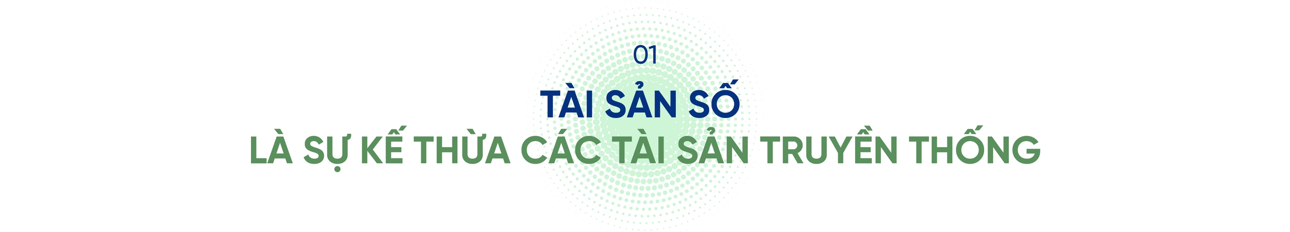 Tổng Giám đốc SSID: Việt Nam sẽ không thua bất kỳ quốc gia nào trong lĩnh vực tài sản số- Ảnh 1.