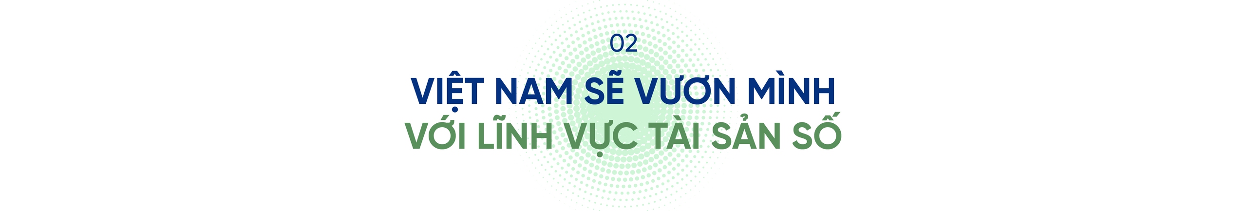 Tổng Giám đốc SSID: Việt Nam sẽ không thua bất kỳ quốc gia nào trong lĩnh vực tài sản số- Ảnh 3.