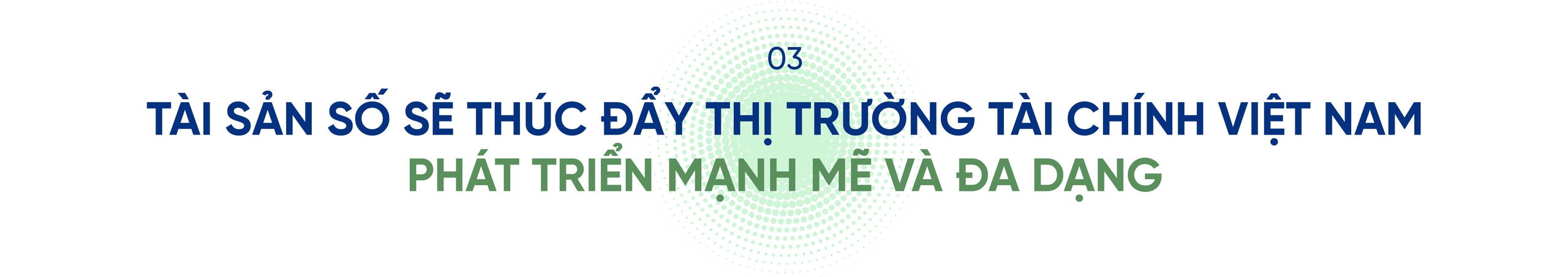 Tổng Giám đốc SSID: Việt Nam sẽ không thua bất kỳ quốc gia nào trong lĩnh vực tài sản số- Ảnh 5.