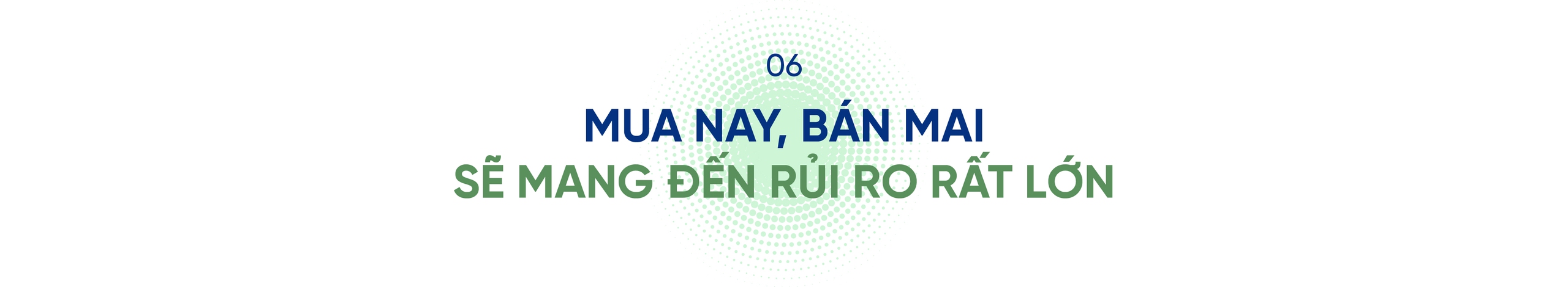 Tổng Giám đốc SSID: Việt Nam sẽ không thua bất kỳ quốc gia nào trong lĩnh vực tài sản số- Ảnh 12.