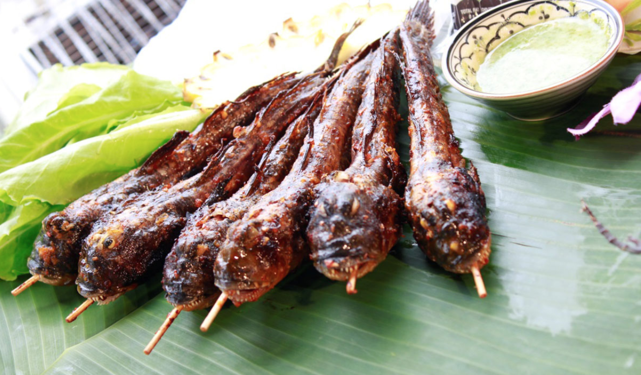 Loài sinh vật kỳ lạ nhất hành tinh có mặt ở miền Tây, ai ngờ lại thành món đặc sản "phá mồi"- Ảnh 3.