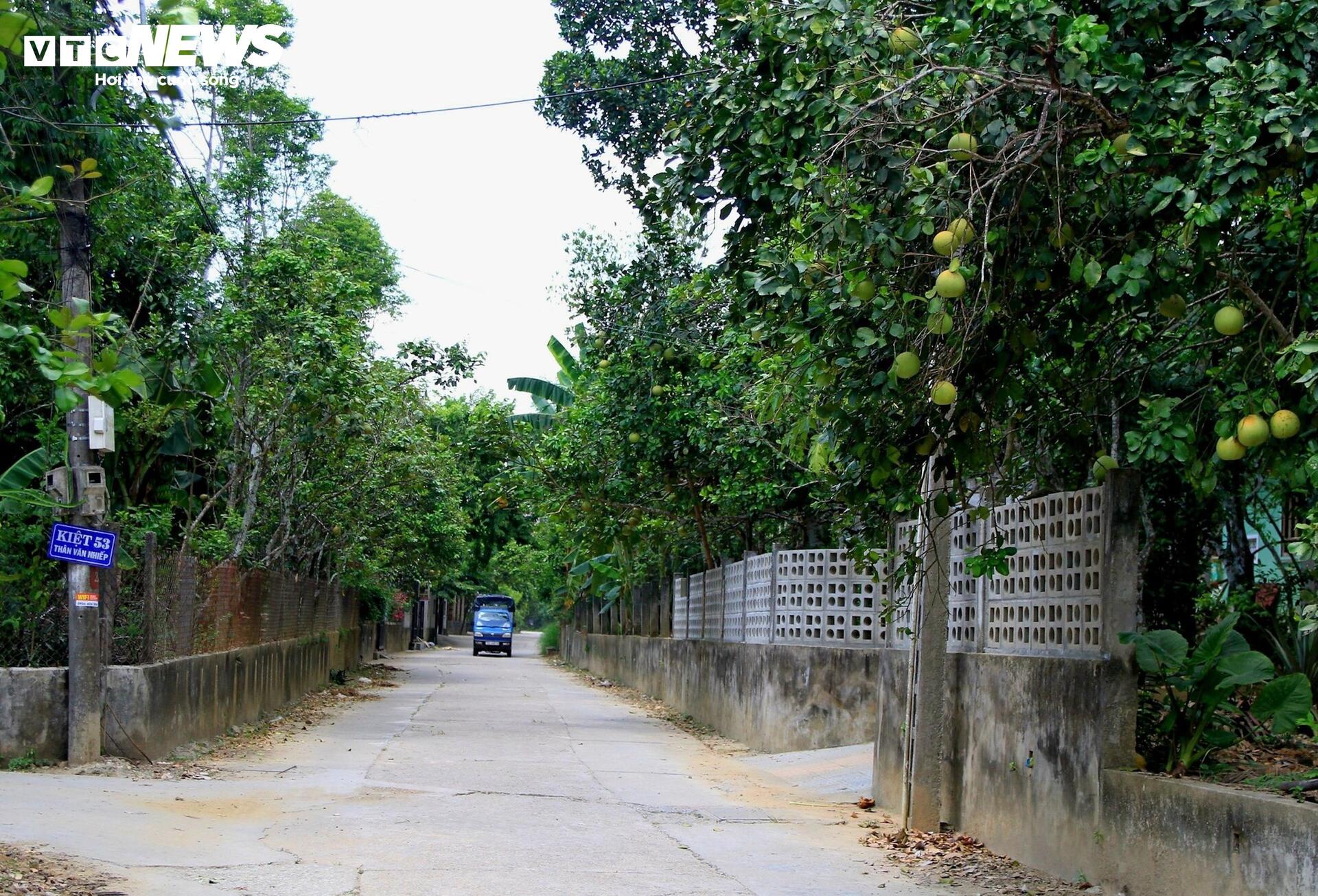 Đặc sản ‘tiến vua’ được mùa, được giá, người dân đếm cây thu tiền triệu mỗi ngày- Ảnh 1.