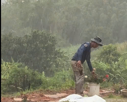Xúc động chuyện chồng trồng 1 km phượng vĩ, 1.000 cây hoa hồng để tưởng nhớ vợ- Ảnh 4.