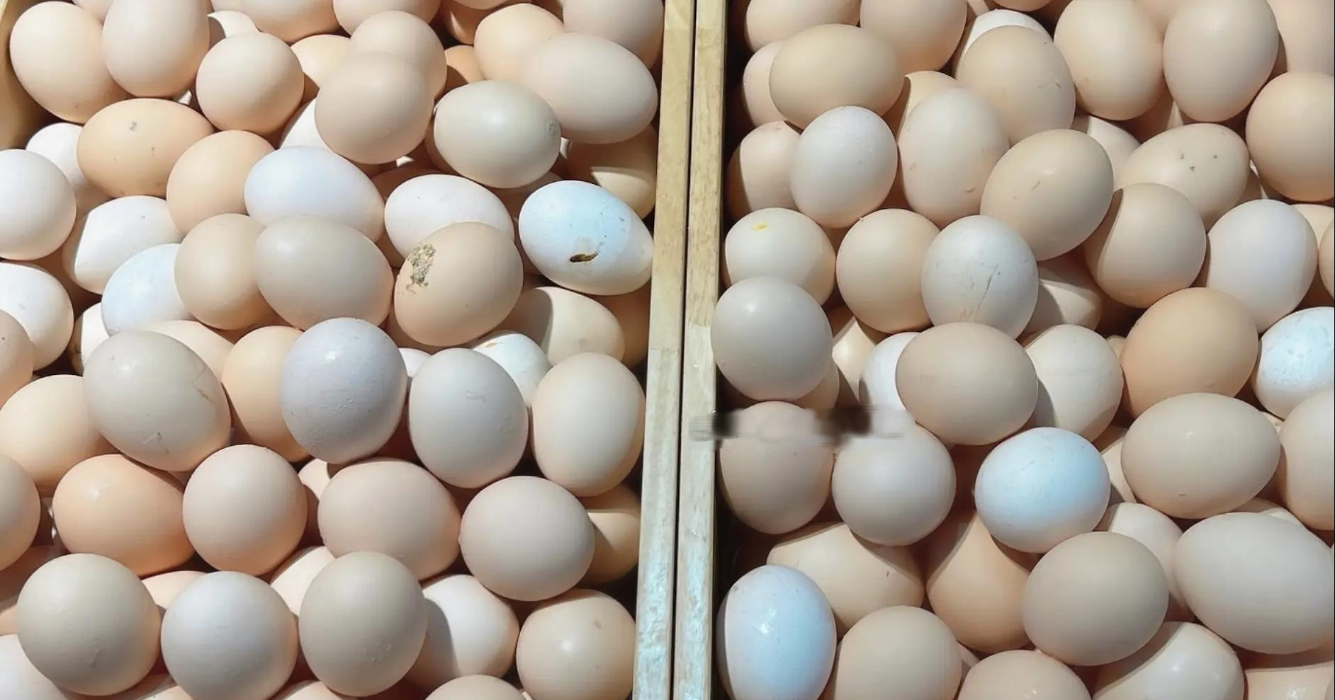 Đi chợ nên mua trứng vỏ trơn hay vỏ nhám? Đây là lời khuyên của chuyên gia- Ảnh 1.