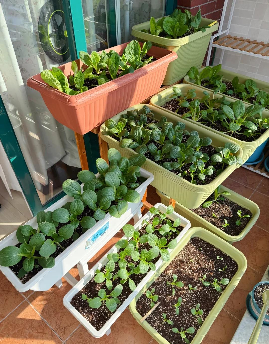 Ấn tượng với bí quyết tiết kiệm của người dì 50 tuổi: Không hề tiêu nhiều mà cuộc sống vẫn hạnh phúc- Ảnh 1. Ấn tượng với bí quyết tiết kiệm của người dì 50 tuổi: Không hề tiêu nhiều mà cuộc sống vẫn hạnh phúc- Ảnh 1.