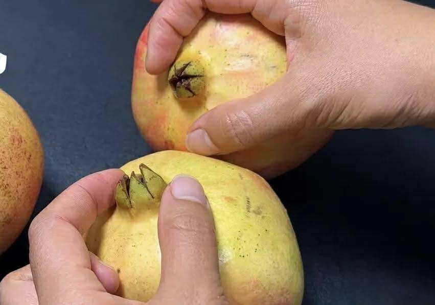 Mua lựu, cứ học thuộc "mẹo nhỏ" này là biết ngay là ngọt hay không- Ảnh 3.