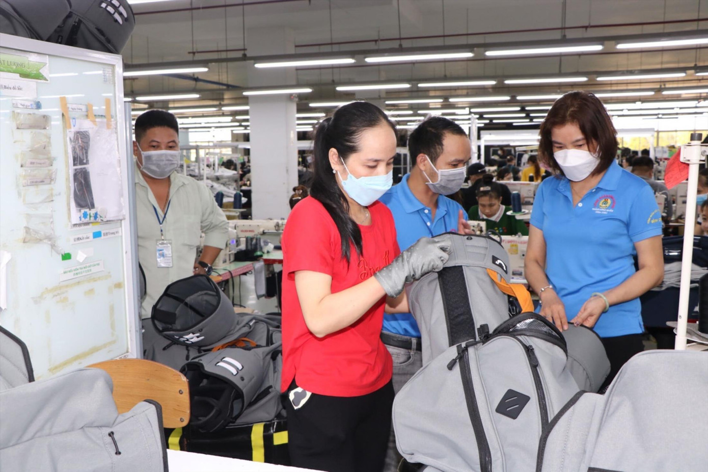 Sắp tổng điều tra kinh tế toàn quốc- Ảnh 1.