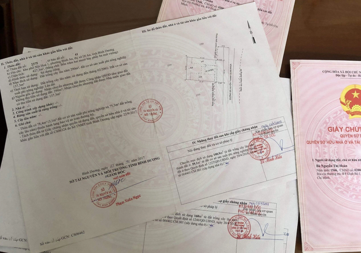 Hồ sơ xin cấp ‘sổ đỏ’ có cần mảnh trích đo bản đồ địa chính?- Ảnh 1.