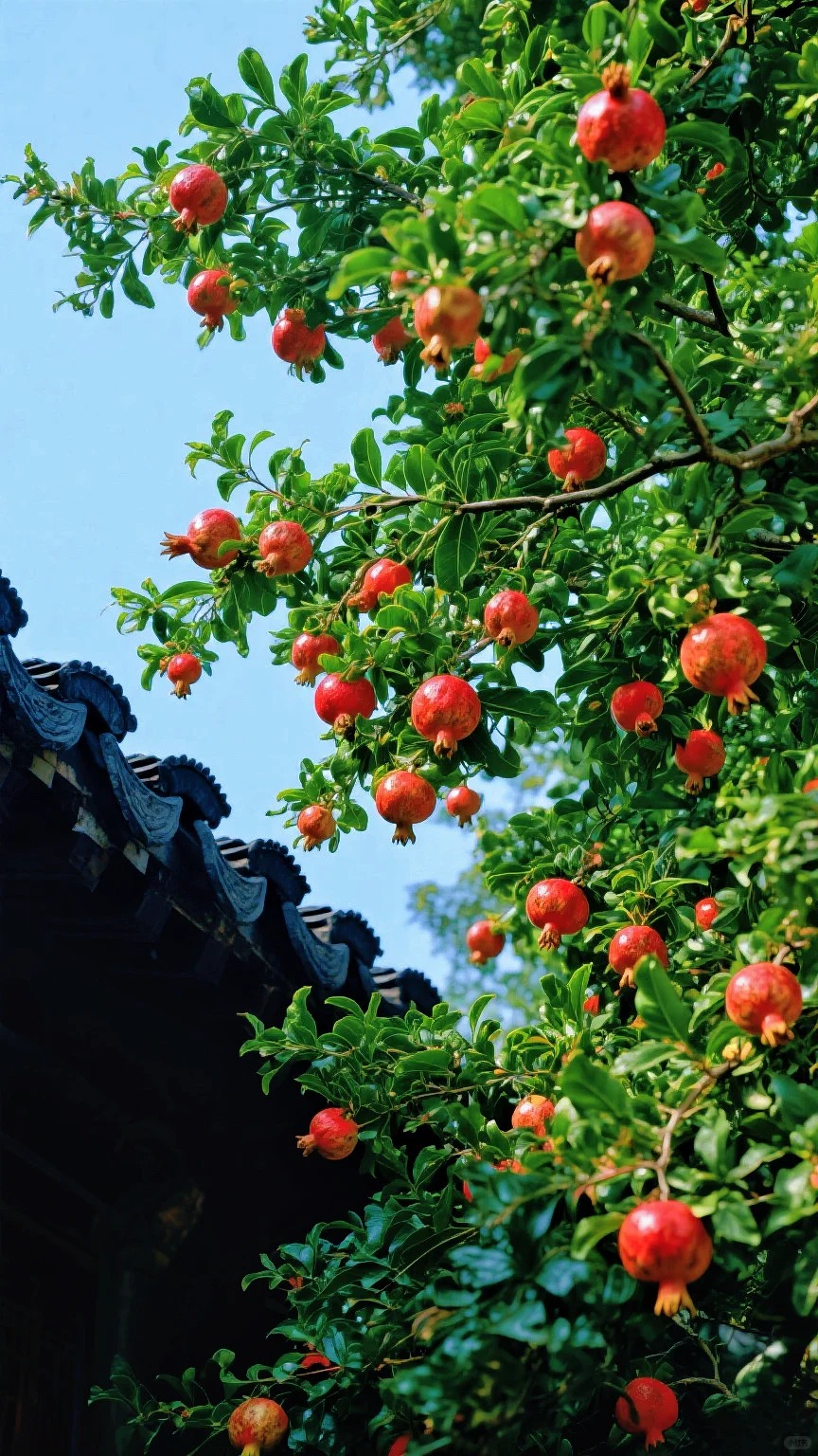 Tại sao người xưa tin rằng trồng cây lựu trước nhà sẽ sinh con đàn cháu đống, tiền tài viên mãn?- Ảnh 3. Tại sao người xưa tin rằng trồng cây lựu trước nhà sẽ sinh con đàn cháu đống, tiền tài viên mãn?- Ảnh 3.