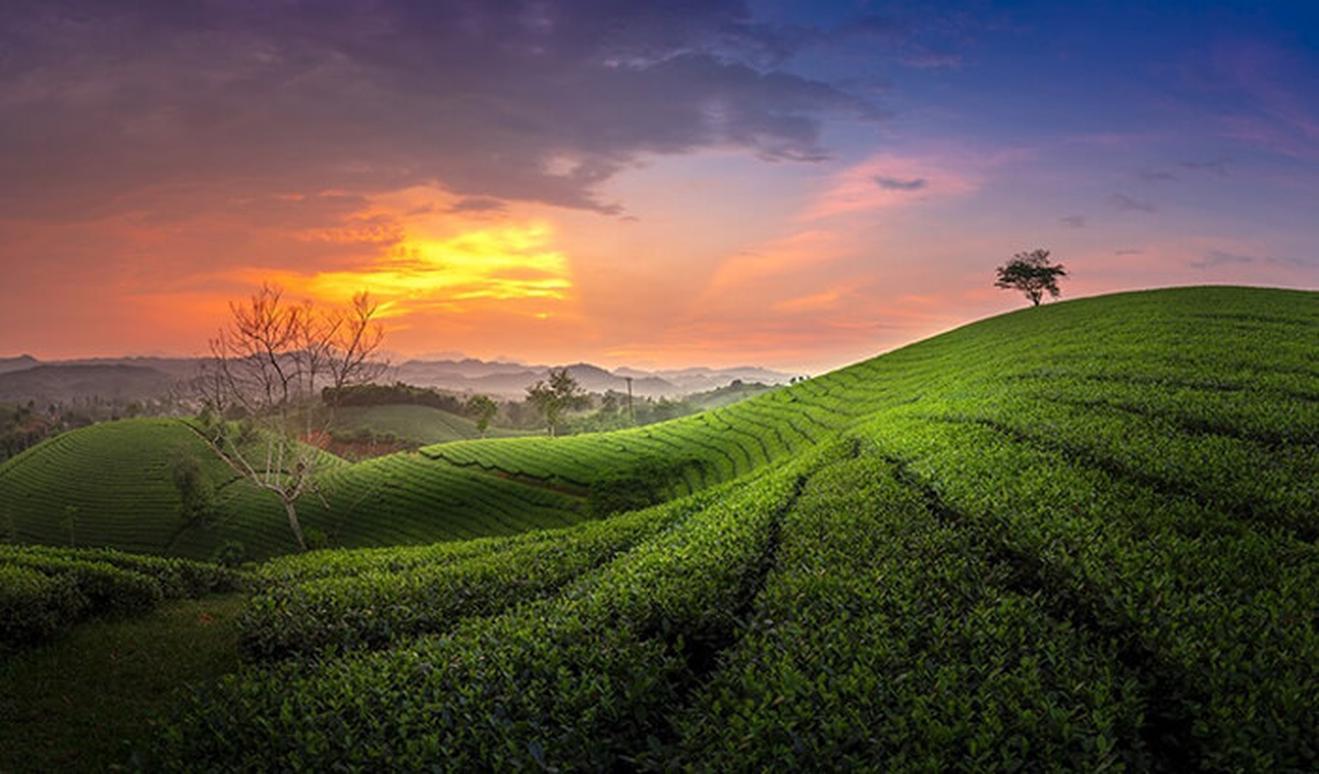 "Đảo giữa hồ" sở hữu vị trí đắc địa, cách Hà Nội chưa đến 100km, du khách nhận xét: Sơn thuỷ hữu tình- Ảnh 5.