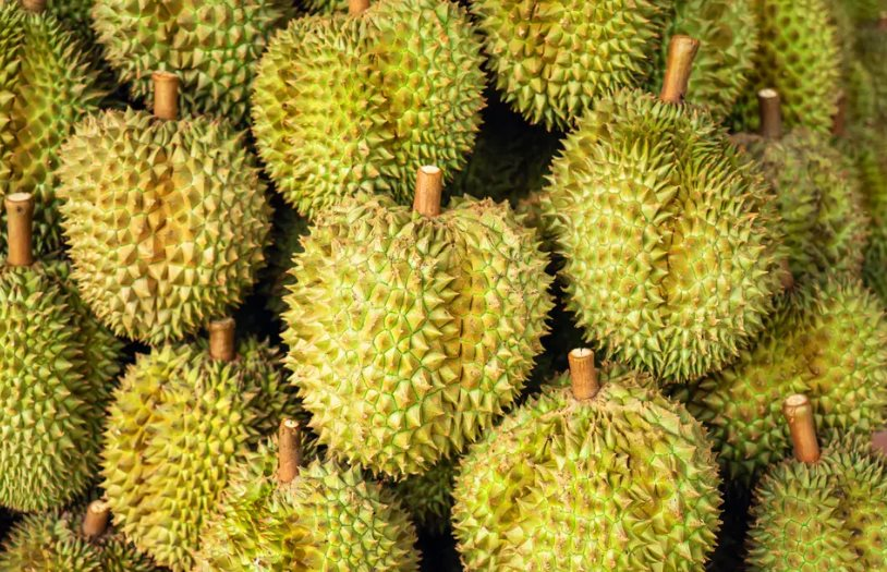 Quyết lấy lại thị phần tại Trung Quốc, một ông lớn Thái Lan chuẩn bị ra mắt xôi sầu riêng ăn liền, sẽ mở rộng sang cả thị trường châu Âu- Ảnh 1.