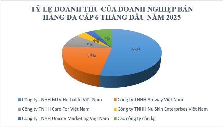 Công ty đa cấp lớn nhất Việt Nam thu 4.000 tỷ đồng sau nửa năm, chiếm 53% toàn ngành- Ảnh 1.