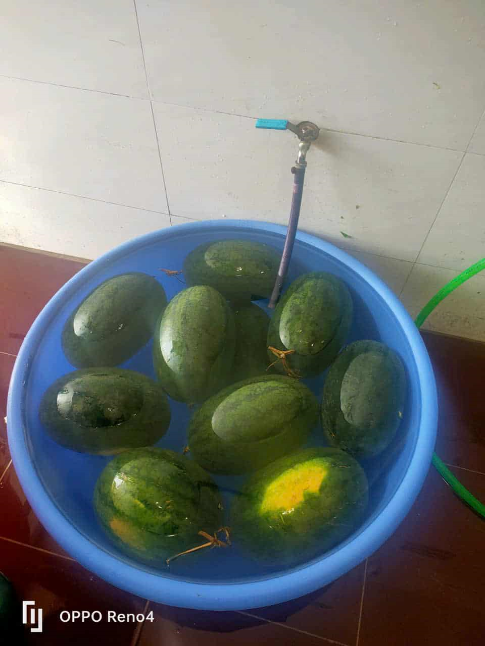 Xuýt xoa trước suất cơm SIÊU NGON tại 1 trường công lập ở Hà Nội: Thích nhất là phụ huynh được đến giám sát bếp ăn hàng tuần!- Ảnh 4. Xuýt xoa trước suất cơm SIÊU NGON tại 1 trường công lập ở Hà Nội: Thích nhất là phụ huynh được đến giám sát bếp ăn hàng tuần!- Ảnh 4.