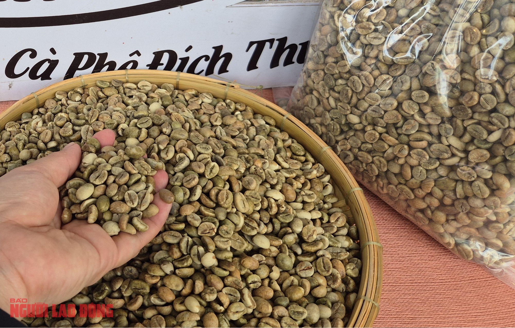 Giá cà phê hôm nay 19-9: Giá cà phê tại Mỹ phá kỷ lục- Ảnh 1.