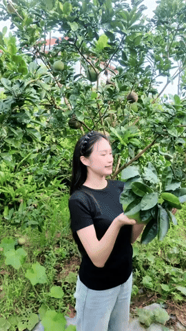 Tiểu thư Doãn Hải My Tiểu thư Doãn Hải My