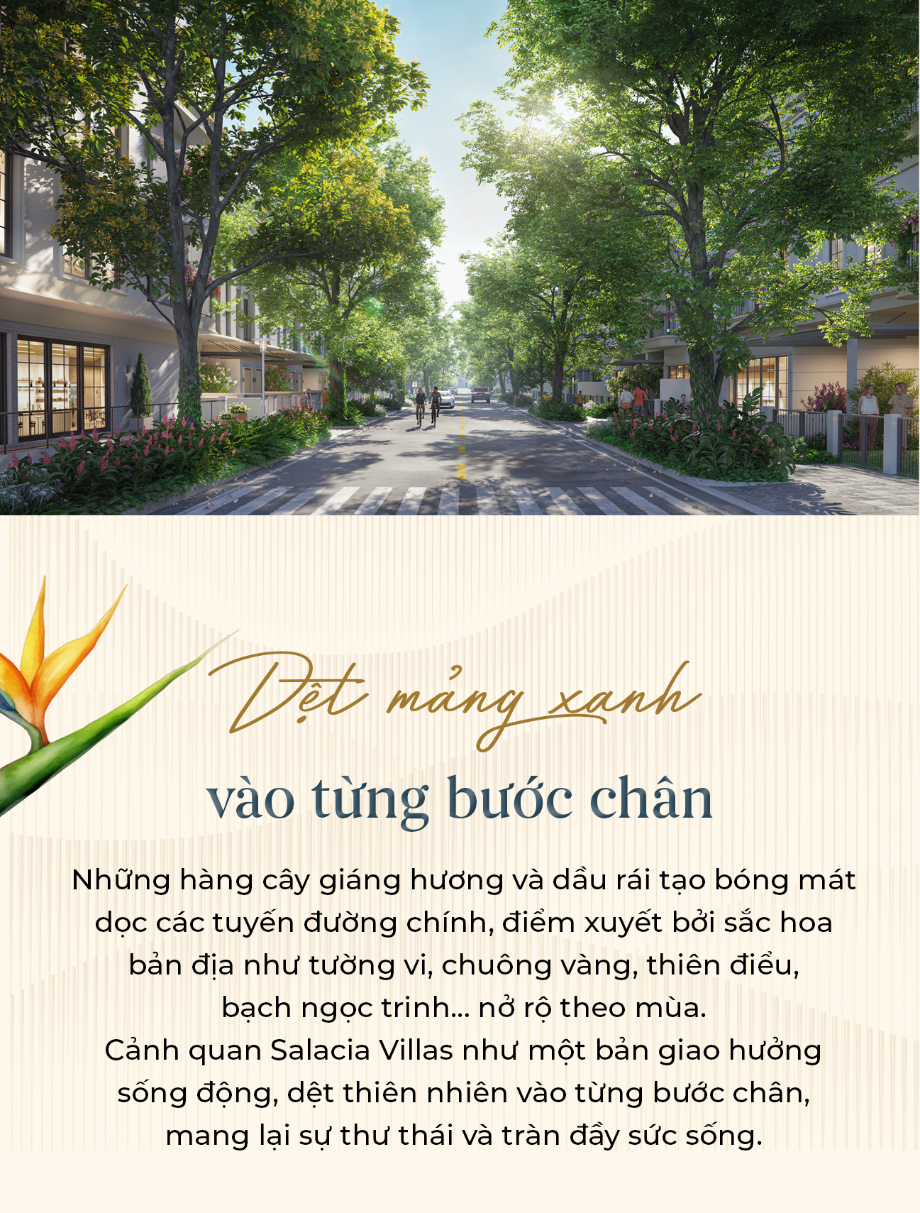 Salacia Villas - "nghỉ dưỡng nhiệt đới" giữa thương cảng quốc tế- Ảnh 4.