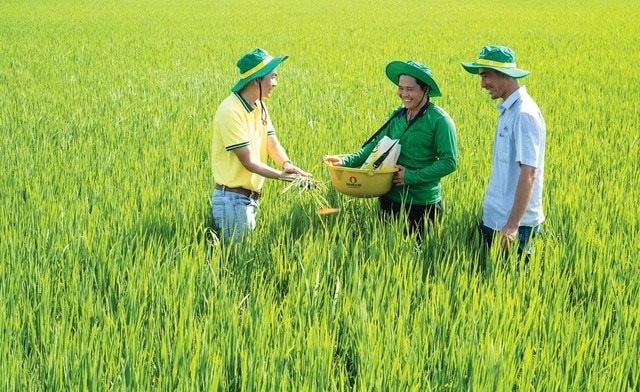 R&D và chuyển đổi số sẽ tạo bước nhảy vọt cho Nông nghiệp Việt Nam- Ảnh 2.