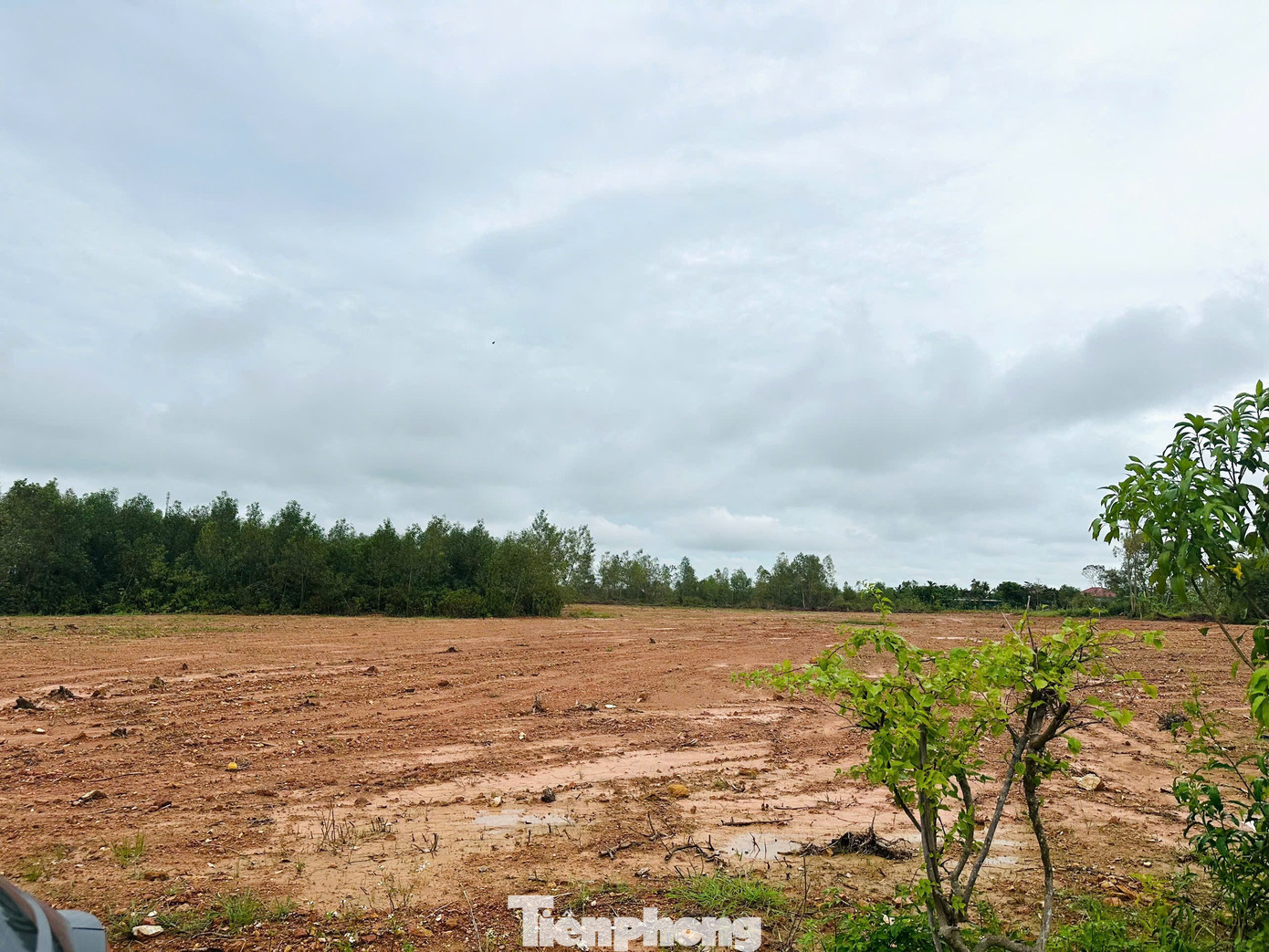'Thổi giá', gom đất, phân lô bán nền tràn lan sau công bố quy hoạch- Ảnh 4.